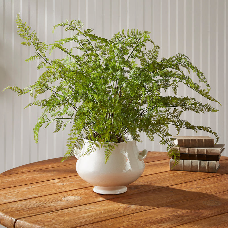 Design Shop Soft Fern Drop-In 36"