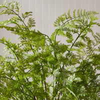 Design Shop Soft Fern Drop-In 36"