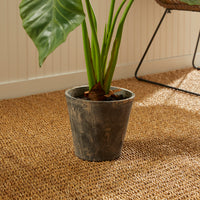 Design Shop Alocasia Potted 42"