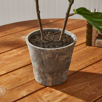 Design Shop Fiddle Leaf Fig Potted 43"