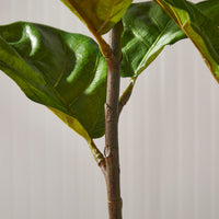 Design Shop Fiddle Leaf Fig Potted 43"