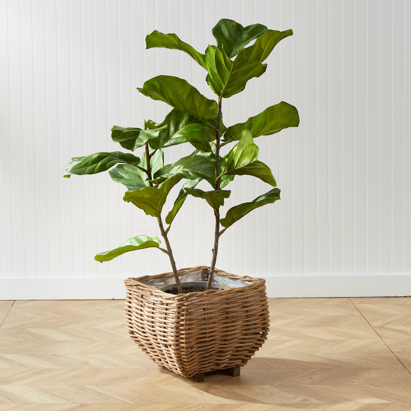 Design Shop Fiddle Leaf Fig Potted 43"