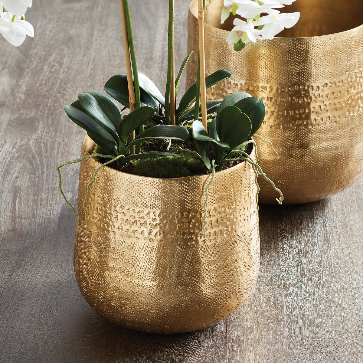 Design Shop Emberlynn Cachepot Small