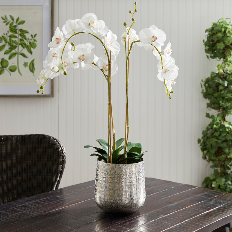 Design Shop Emberlynn Cachepot Small