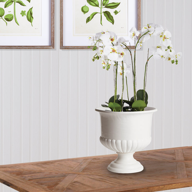 Design Shop Mirabelle Decorative Pedestal Bowl Large