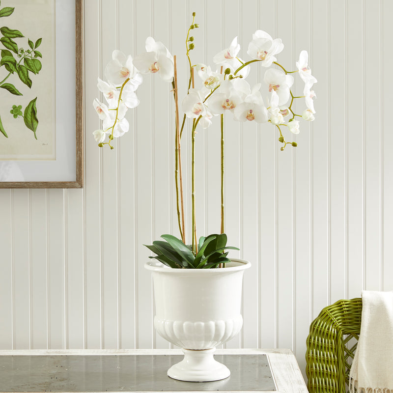 Design Shop Mirabelle Decorative Pedestal Bowl Small