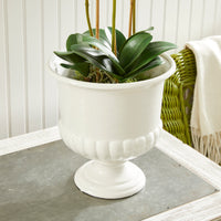 Design Shop Mirabelle Decorative Pedestal Bowl Small