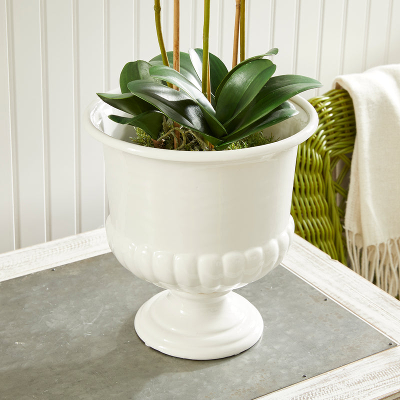 Design Shop Mirabelle Decorative Pedestal Bowl Small