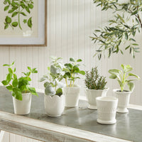 Design Shop Mirabelle Mini Cachepots, Set Of 6