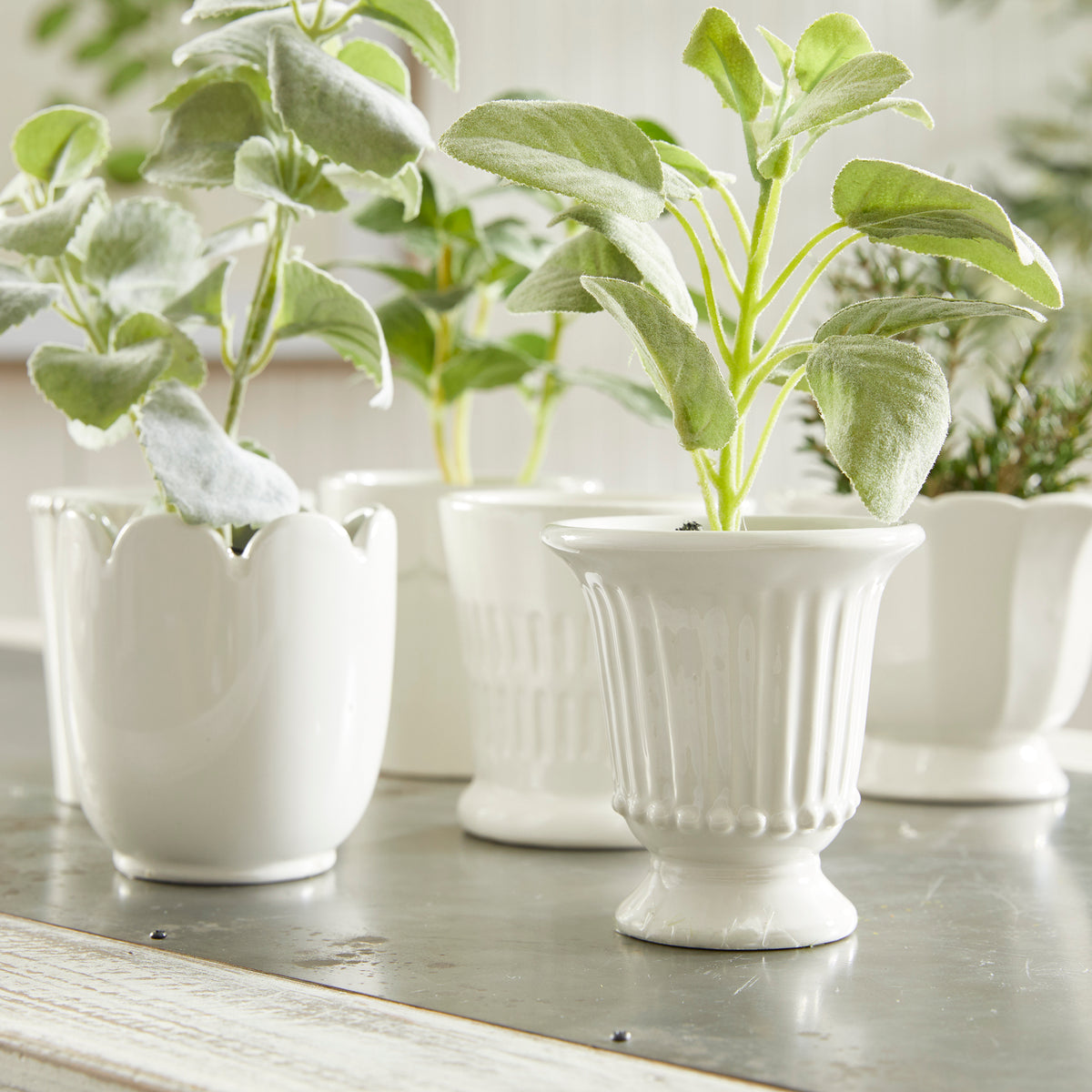 Design Shop Mirabelle Mini Cachepots, Set Of 6