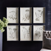 Design Shop Wildflower Study, Set Of 6