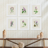 Design Shop Flower Study Prints, Set Of 6