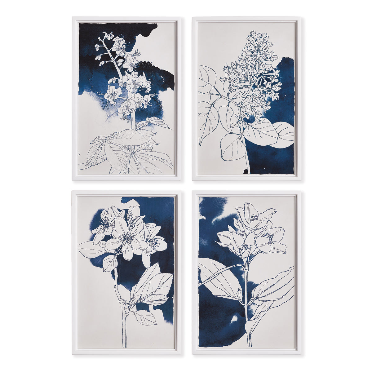 Design Shop Studio Floral Sketches, Set Of 4
