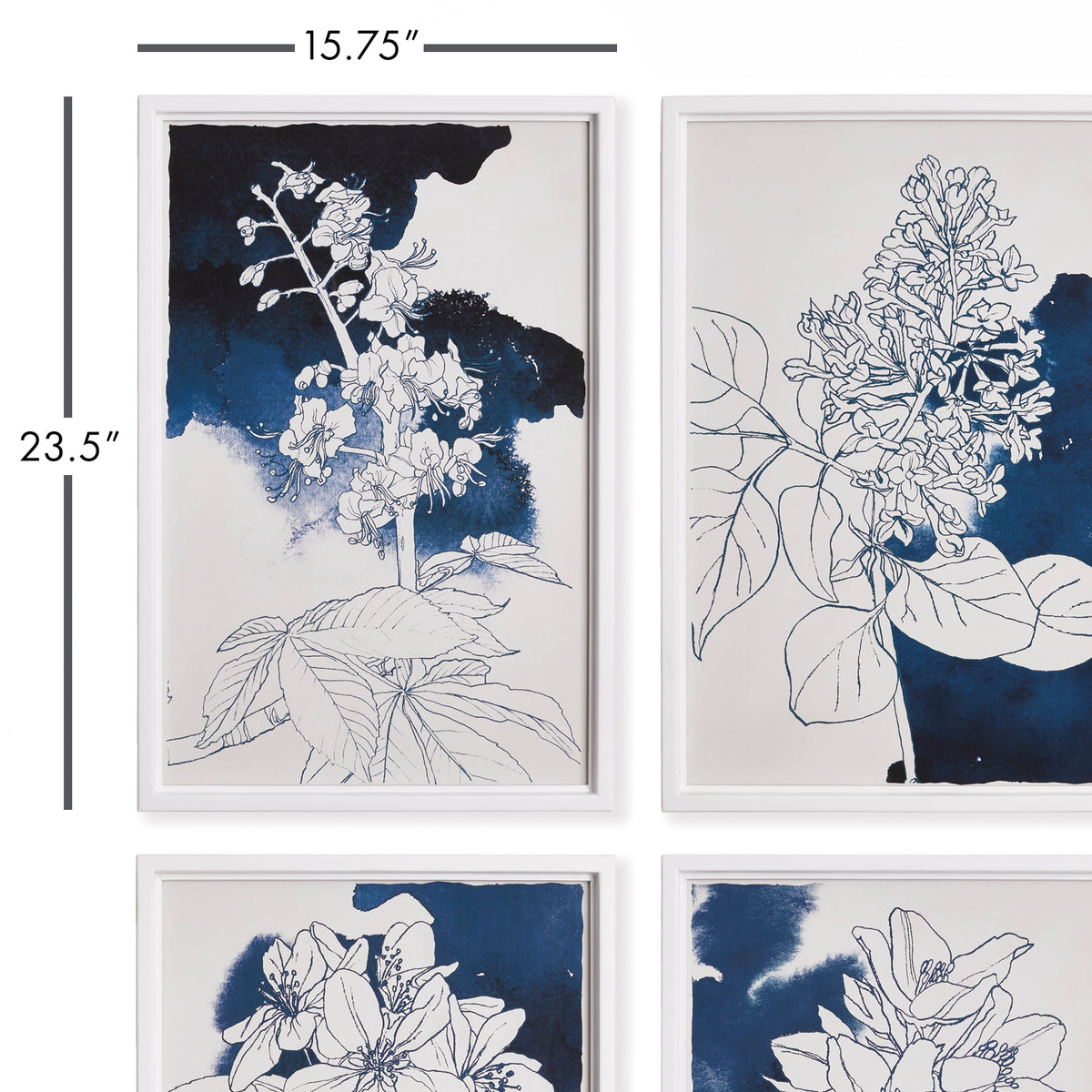 Design Shop Studio Floral Sketches, Set Of 4