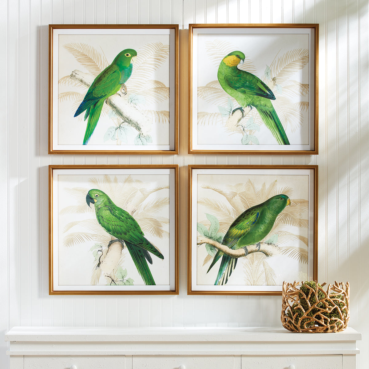 Design Shop Green Parrots Study, Set Of 4