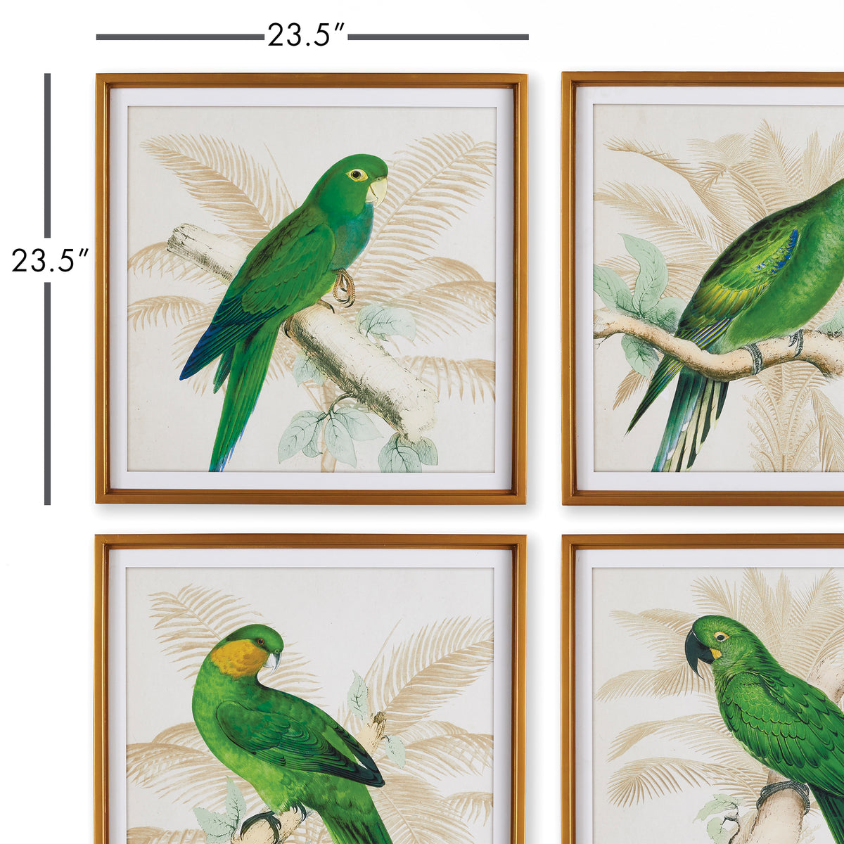 Design Shop Green Parrots Study, Set Of 4