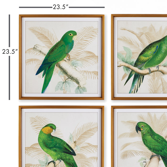 Design Shop Green Parrots Study, Set Of 4