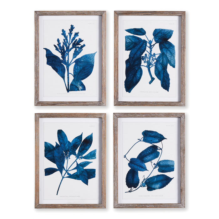 Design Shop Indigo Botanicals, Set Of 4