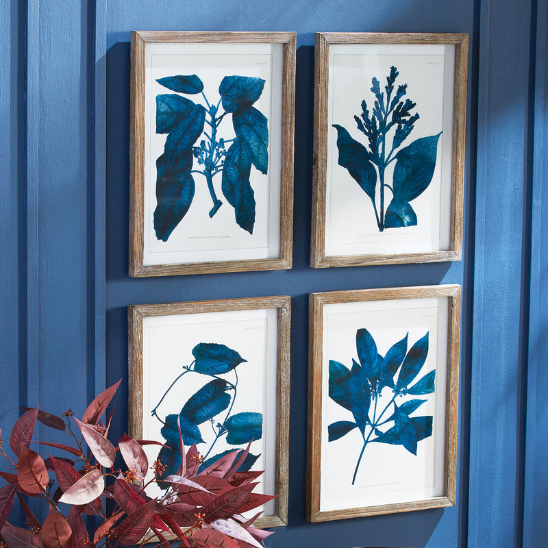 Design Shop Indigo Botanicals, Set Of 4