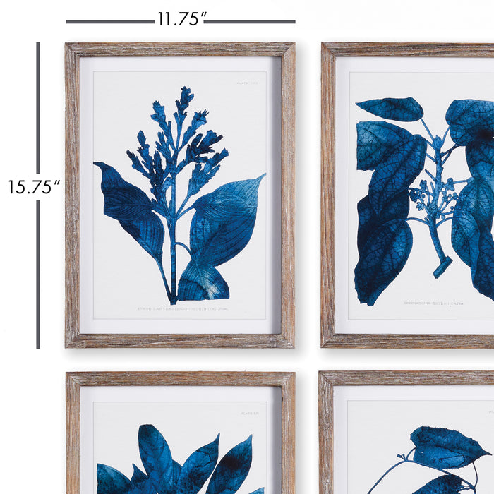 Design Shop Indigo Botanicals, Set Of 4