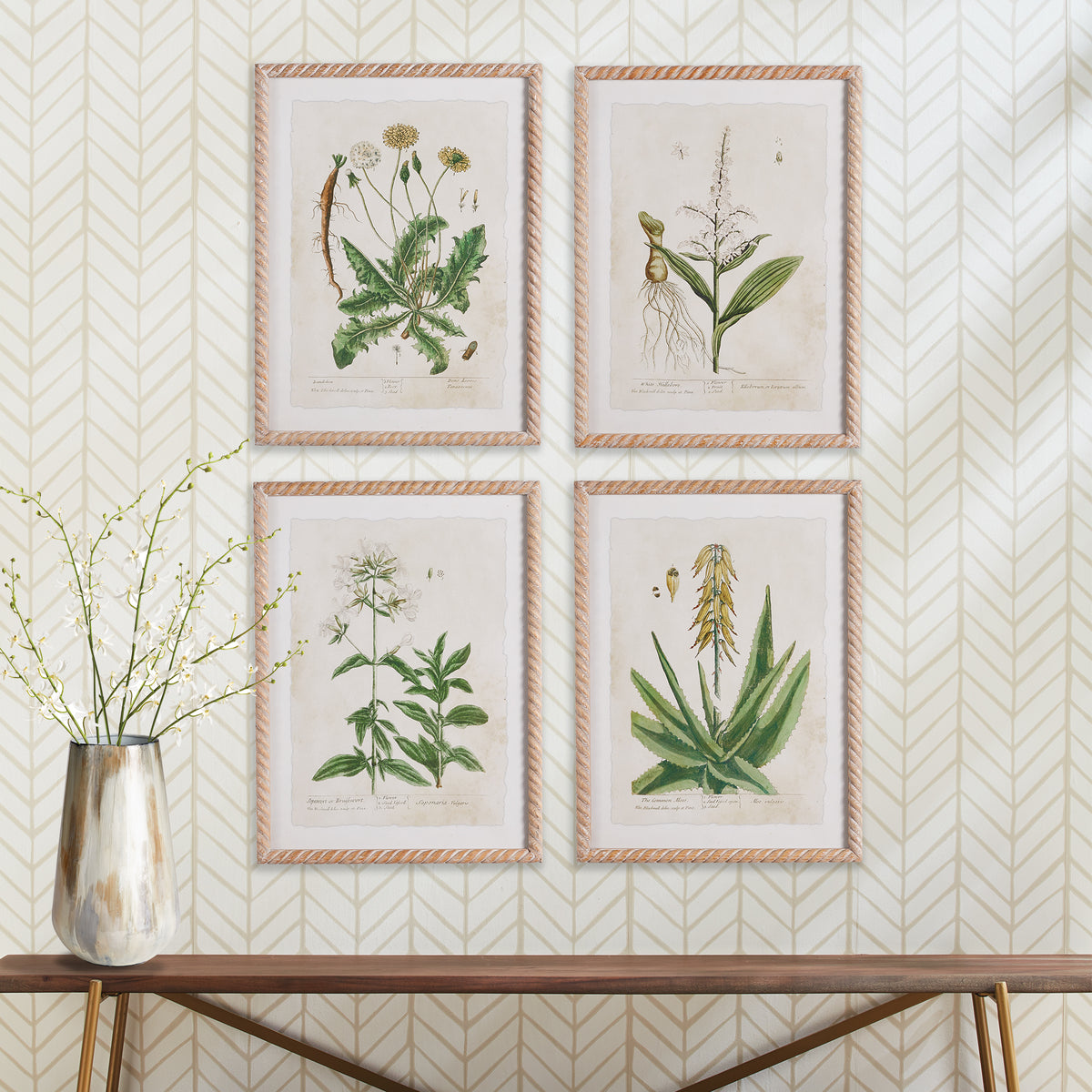 Design Shop Vintage Botanical Study, Set Of 4