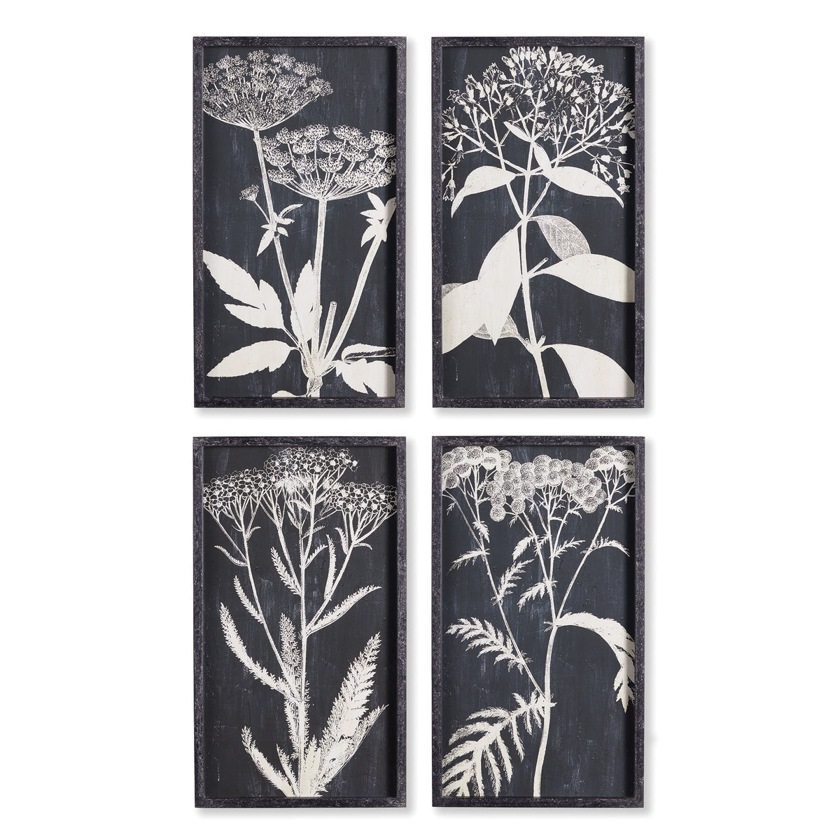 Design Shop Monochrome Queen Anne'S Lace Prints, Set Of 4
