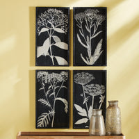 Design Shop Monochrome Queen Anne'S Lace Prints, Set Of 4