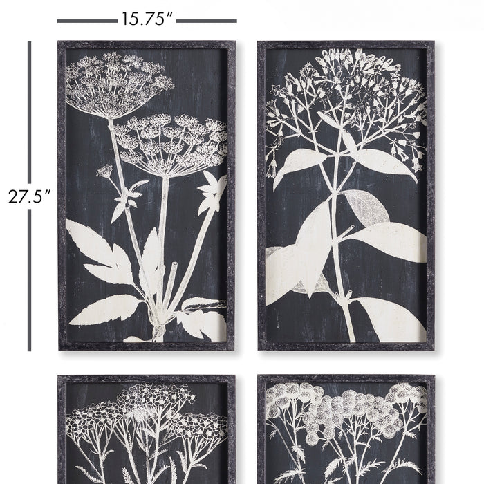 Design Shop Monochrome Queen Anne'S Lace Prints, Set Of 4