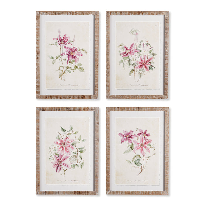 Design Shop Pink Clematis Prints, Set Of 4