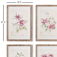 Design Shop Pink Clematis Prints, Set Of 4