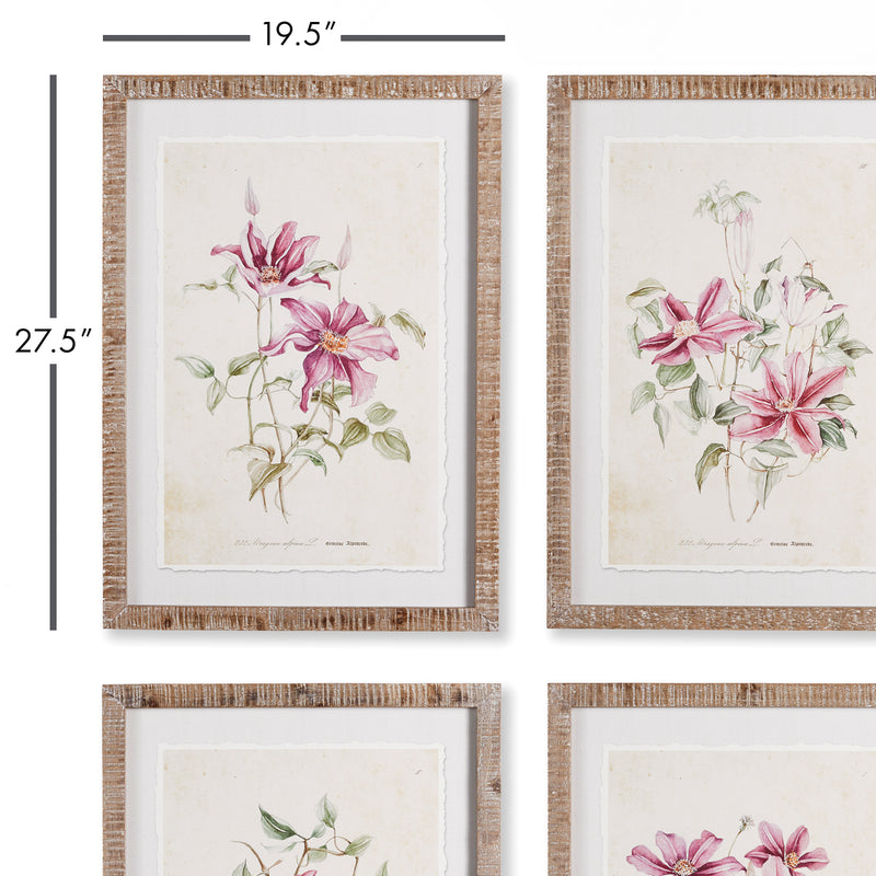 Design Shop Pink Clematis Prints, Set Of 4