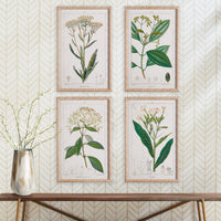Design Shop Meadow Botanical Study, Set Of 4
