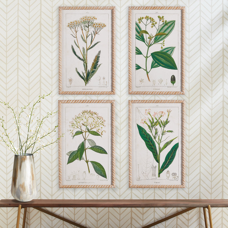 Design Shop Meadow Botanical Study, Set Of 4