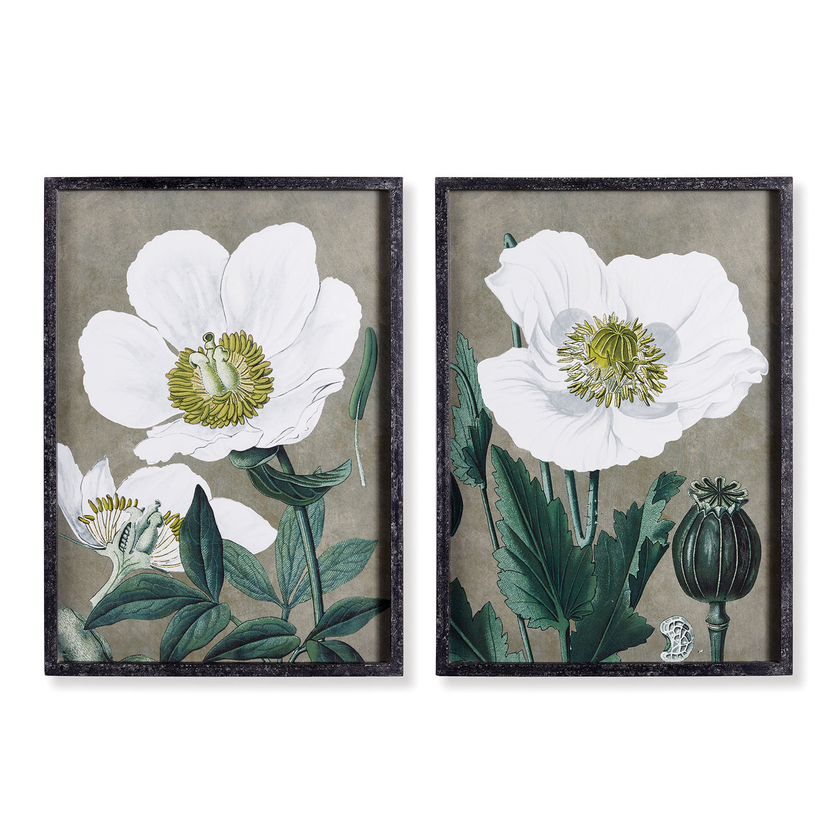 Design Shop Poppy Prints, Set Of 2