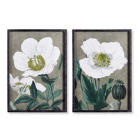 Design Shop Poppy Prints, Set Of 2
