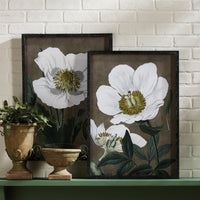 Design Shop Poppy Prints, Set Of 2
