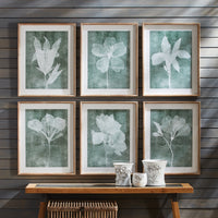 Design Shop Translucent Floral Prints, Set Of 6