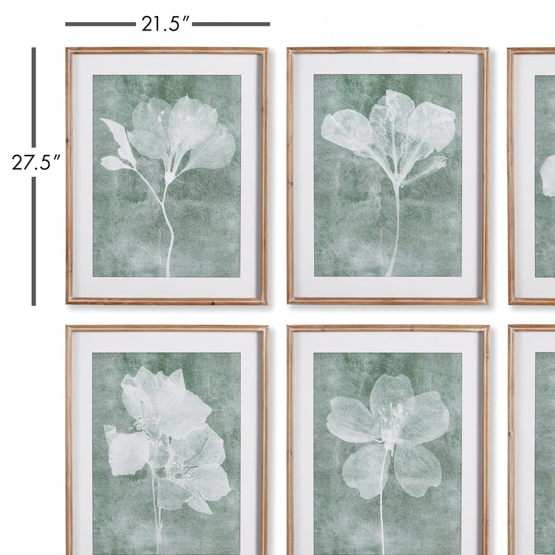 Design Shop Translucent Floral Prints, Set Of 6