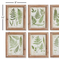 Design Shop Forest Greenery Prints, Set Of 6