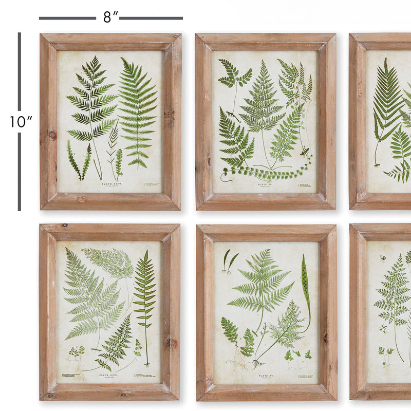 Design Shop Forest Greenery Prints, Set Of 6