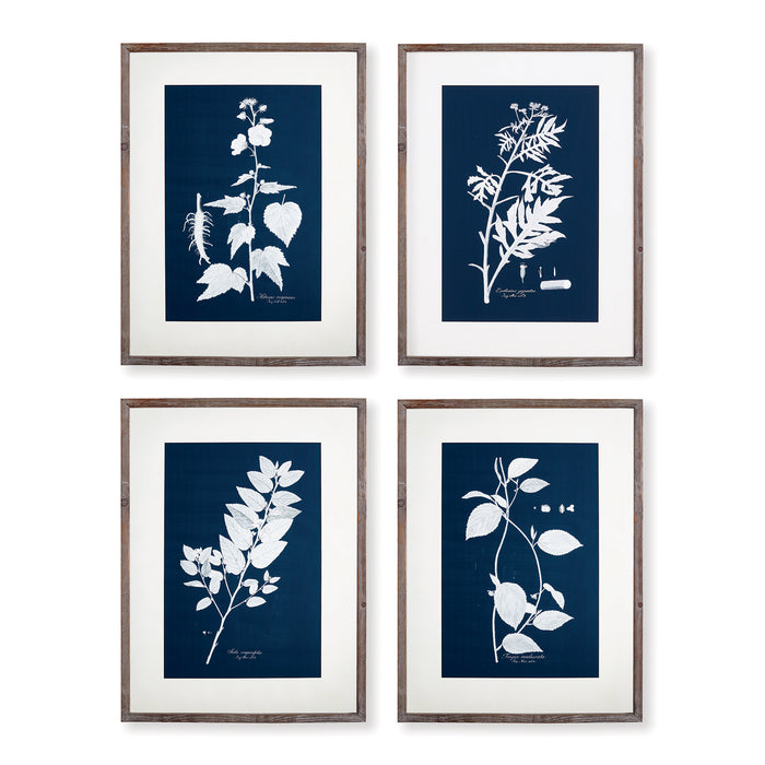 Design Shop Cyano Botanical Leaf Study, Set Of 4