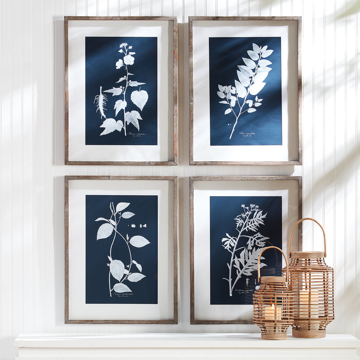 Design Shop Cyano Botanical Leaf Study, Set Of 4