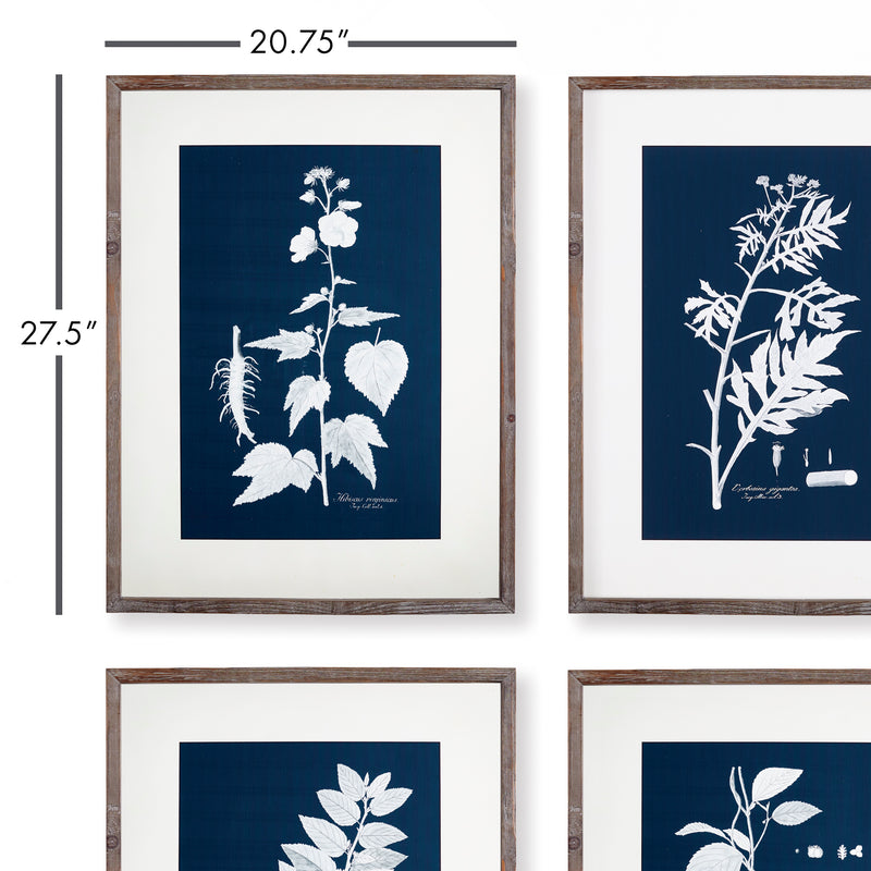 Design Shop Cyano Botanical Leaf Study, Set Of 4