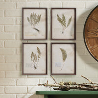 Design Shop Petite Frond Prints, Set Of 4