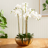 Design Shop Melody Decorative Bowl