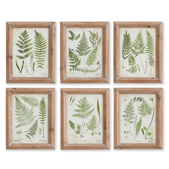 Design Shop Assorted Frond Study Petite, Set Of 6