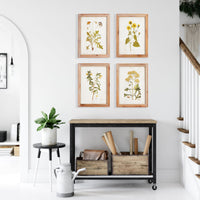Design Shop Golden Wildflower Study, Set Of 4