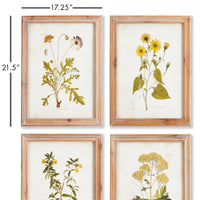 Design Shop Golden Wildflower Study, Set Of 4