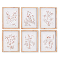 Design Shop Botanicals In Blush Prints, Set Of 6