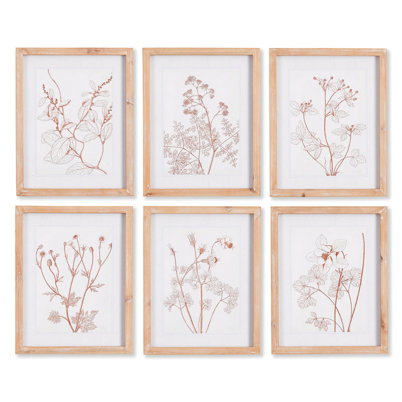 Design Shop Botanicals In Blush Prints, Set Of 6